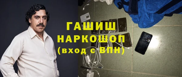молекула духа Алексин