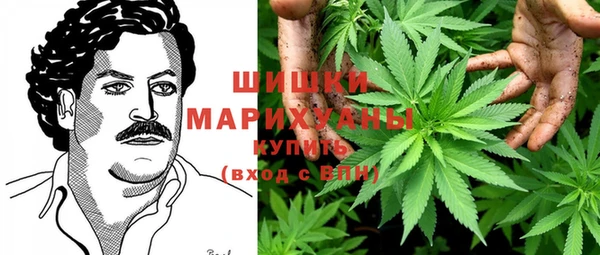 молекула духа Алексин