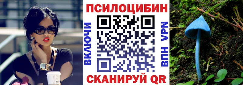 кракен ТОР  Терек  Галлюциногенные грибы прущие грибы 